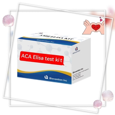Specificiteit 2-3 uur Anti-ACA IgM Elisa dierproef Met 18 maanden houdbaarheid
