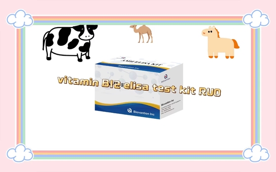Vitamine B12 Elisa Test Kit Of Enzym-Binded Product RESEARCH GEBRUIK Alleen dierproeven