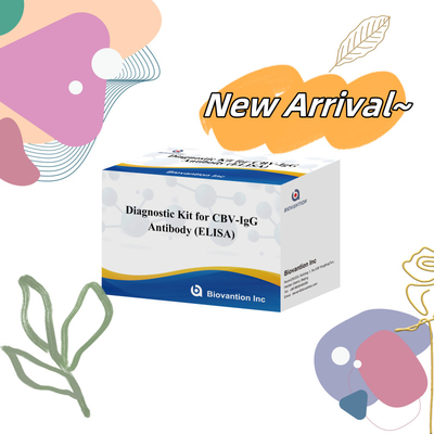 Gevoeligheid Diagnostiek Kit voor CBV-IgG Anticorps detecteren menselijke Elisa Kits voor nauwkeurige monstertype detectie