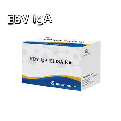 Professionele Elisa-testkit voor IgA-antilichaam tegen EBV-Zta