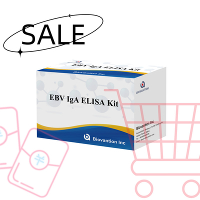 Professionele Elisa-testkit voor IgA-antilichaam tegen EBV-Zta