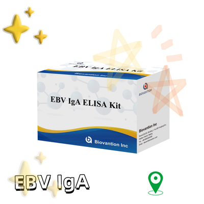 Professionele Elisa-testkit voor IgA-antilichaam tegen EBV-Zta