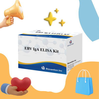 Professionele Elisa-testkit voor IgA-antilichaam tegen EBV-Zta