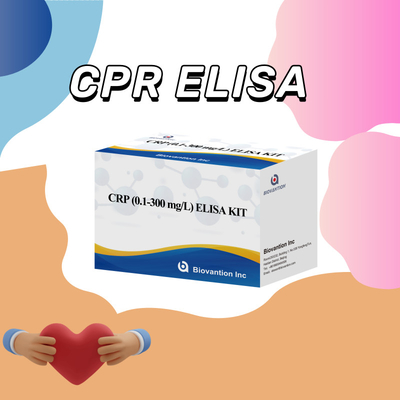 Snel en betrouwbaar Elisa Human Detect Diagnostic Reagent ongeveer CRP 0,1-300 mg/l