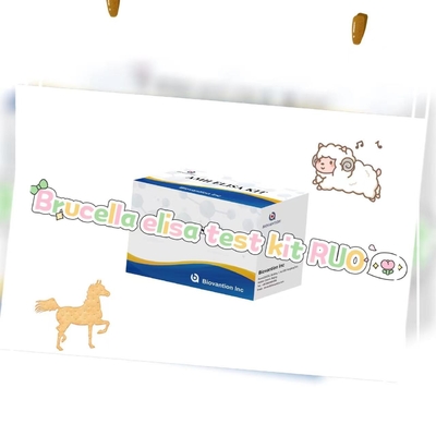 Brucella elisa testkit RUO Elisa testkit van enzymgebonden productonderzoek