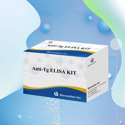 Elisa Diagnostic Kit voor menselijke antithyroglobuline-antilichamen Anti-Tg voor ziekenhuis en laboratorium