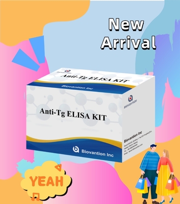 Elisa Diagnostic Kit voor menselijke antithyroglobuline-antilichamen Anti-Tg voor ziekenhuis en laboratorium