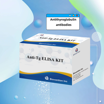Elisa Diagnostic Kit voor menselijke antithyroglobuline-antilichamen Anti-Tg voor ziekenhuis en laboratorium