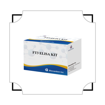 FT3 Vrije triiodothyronine voor menselijke diagnostische reagentia Kits met 96T ELISA-test voor klinisch ziekenhuislaboratorium
