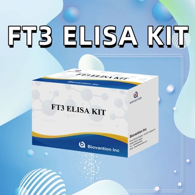 FT3 Vrije triiodothyronine voor menselijke diagnostische reagentia Kits met 96T ELISA-test voor klinisch ziekenhuislaboratorium