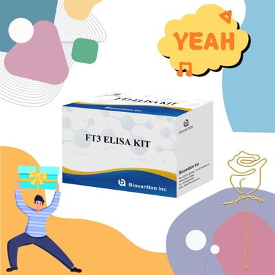FT3 Vrije triiodothyronine voor menselijke diagnostische reagentia Kits met 96T ELISA-test voor klinisch ziekenhuislaboratorium