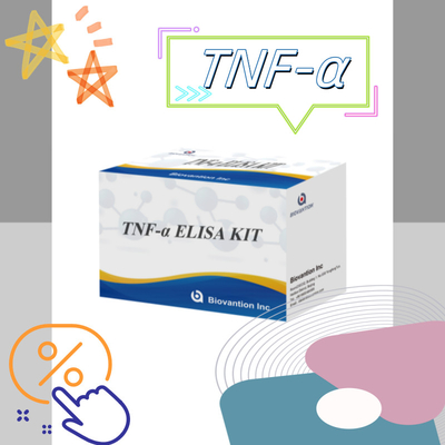 TNF-α RUO Elisa-test voor serumplasma nauwkeurige en handige diagnostische oplossing voor onderzoek