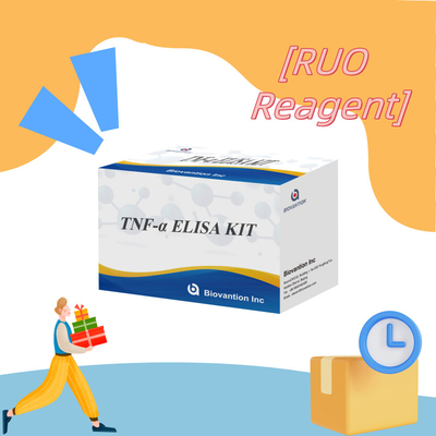TNF-α RUO Elisa-test voor serumplasma nauwkeurige en handige diagnostische oplossing voor onderzoek