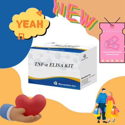 TNF-α RUO Elisa-test voor serumplasma nauwkeurige en handige diagnostische oplossing voor onderzoek