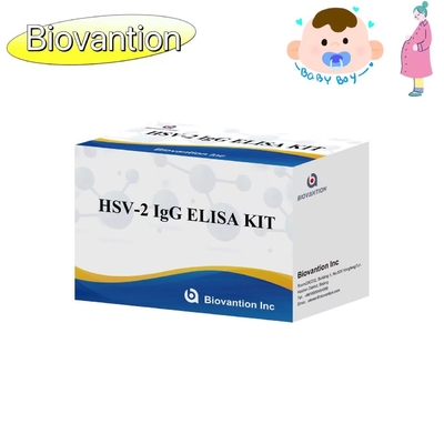 Hoge nauwkeurigheid van de gebruiksaanwijzingen voor de HSV II IgG Torch ELISA-testkit