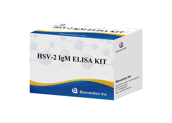 HSV 2 IgM Torch ELISA Test Kit Hoog nauwkeurige gebruiksaanwijzingen