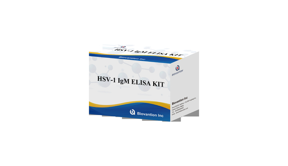 Torch ELISA Test Kit HSV 1 IgM High Hot Sale Diagnostisch Reagens IVD