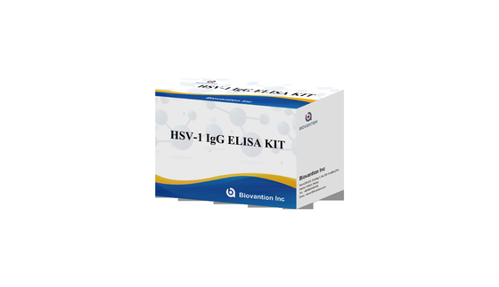 HSV 1 IgG Torch ELISA Test Kit High Hot Sale Diagnostisch reagens IVD