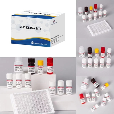 AFP alfa-fetoprotein Elisa Test Kit Enzymgebonden producten Korte transporttijd