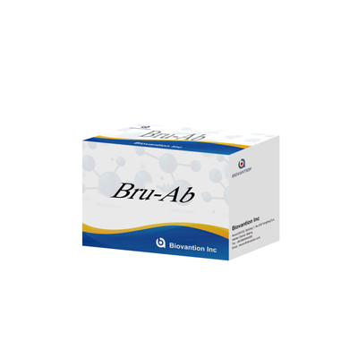 Bru Ab Precise ELISA Test Kit voor gerichte detectie met CE ISO 13485