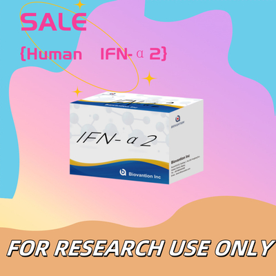 Elisa Reagentia Kit Mens IFN-α2 voor onderzoek Gebruik Elisa Reagentia Hoge gevoeligheid