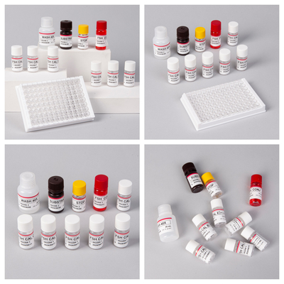 18 maanden houdbaarheidsduur Gevoeligheid FSH (Quantitatieve) ELISA-kit voor detectie van antigenen