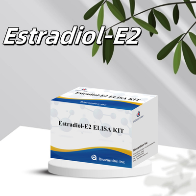 Biovantion Estradiol Quantitative 96-Well Plate Test Kit voor serummonsters met verhoogde gevoeligheid