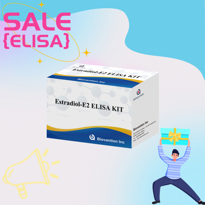 Biovantion Estradiol Quantitative 96-Well Plate Test Kit voor serummonsters met verhoogde gevoeligheid