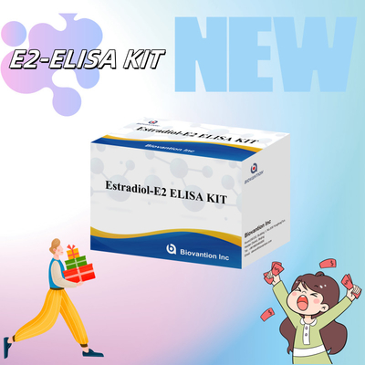 Biovantion Estradiol Quantitative 96-Well Plate Test Kit voor serummonsters met verhoogde gevoeligheid
