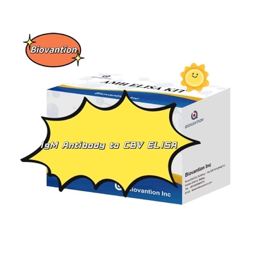 Diagnostische kit voor IgM-antilichaam tegen CBV Elisa Test Kit 50μL Serum Medische diagnose