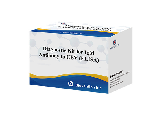 Diagnostische kit voor IgM-antilichaam tegen CBV Elisa Test Kit 50μL Serum Medische diagnose