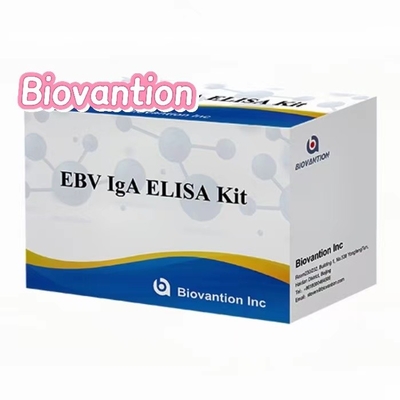 IgA-antilichaam tegen EBNA1 Elisa-testkit Serum 50μL Format van de testkit
