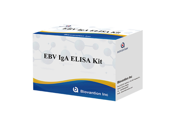 IgA-antilichaam tegen EBNA1 Elisa-testkit Serum 50μL Format van de testkit