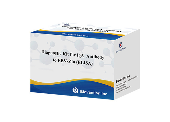 Diagnostische kit voor IgA-antilichaam tegen EBV-Zta ELISA-test kit Immunosorptieve assay test kit