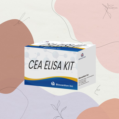 CE-goedkeuring voor menselijk gebruik CEA kwantitatieve Elisa-testkit Bloed- of serumtest 96T