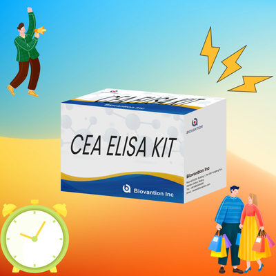CE-goedkeuring voor menselijk gebruik CEA kwantitatieve Elisa-testkit Bloed- of serumtest 96T