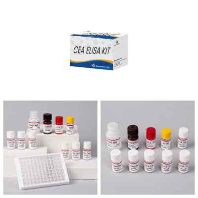 CE-goedkeuring voor menselijk gebruik CEA kwantitatieve Elisa-testkit Bloed- of serumtest 96T