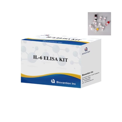 IL 6 ELISA Test Kit 1 uur testtijd 96 tests ELISA Kit voor IVD-laboratoriumgebruik