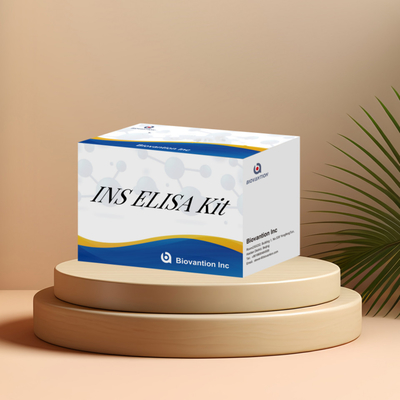 Detectie Kit voor Insuline INS voor menselijke detectie reagens voor menselijke serum
