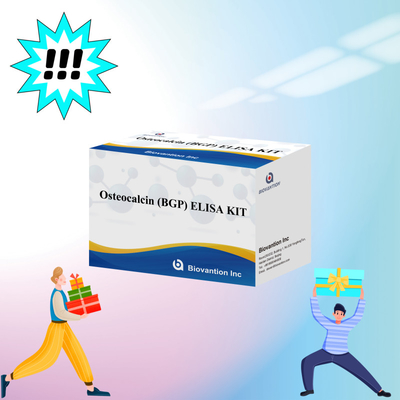 Detectie kit voor Osteocalcine BGP voor menselijke detectie reagens voor menselijk serum plasma