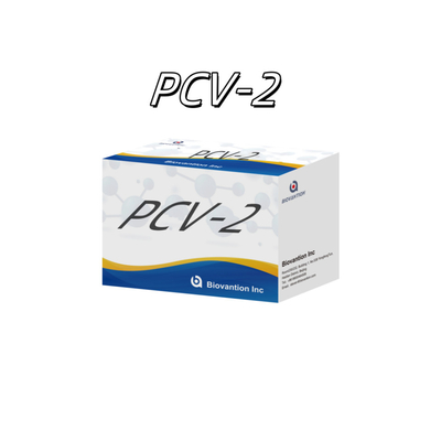 WB/S/P PCV-2 ELISA-test voor dierlijke antilichamen Veterinaire reagentia