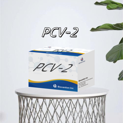 WB/S/P PCV-2 ELISA-test voor dierlijke antilichamen Veterinaire reagentia