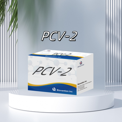 WB/S/P PCV-2 ELISA-test voor dierlijke antilichamen Veterinaire reagentia