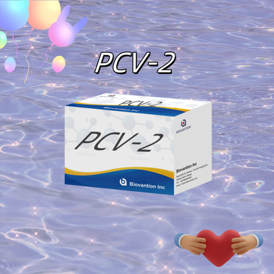 WB/S/P PCV-2 ELISA-test voor dierlijke antilichamen Veterinaire reagentia