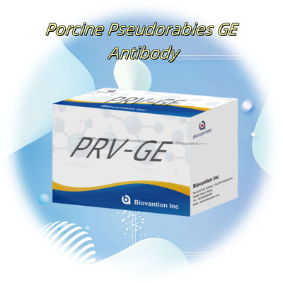 Detectie-kit voor dierlijk detecterend reagens PRV-GE-antilichaam-ELISA-kit