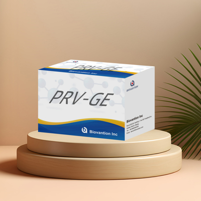 ELISA-test voor dierlijke PRV-GB Pseudorabiën bij varkens GB antilichamen
