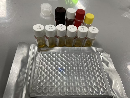 Rat Bcl-2 Serum Methode ELISA Proeftype Serum ELISA RUO Test Kit Met 98% specificiteit