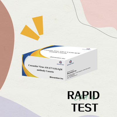 Coxsackievirus A16 CVA16-IgM-antilichaam Cassette WB/S/P Colloïdale gouden snelle test
