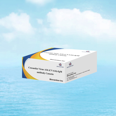 Coxsackievirus A16 CVA16-IgM-antilichaam Cassette WB/S/P Colloïdale gouden snelle test