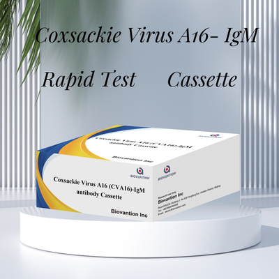 Coxsackievirus A16 CVA16-IgM-antilichaam Cassette WB/S/P Colloïdale gouden snelle test
